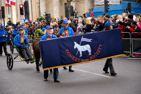 Desfile de Año Nuevo, Londres, 2015 — Foto de Stock