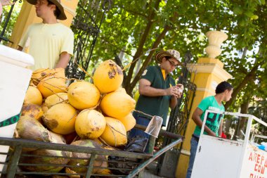 Cartagena cocnut sokak satıcısı