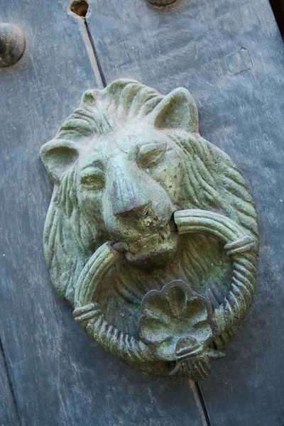 Lion doorknocker — Stock Photo, Image