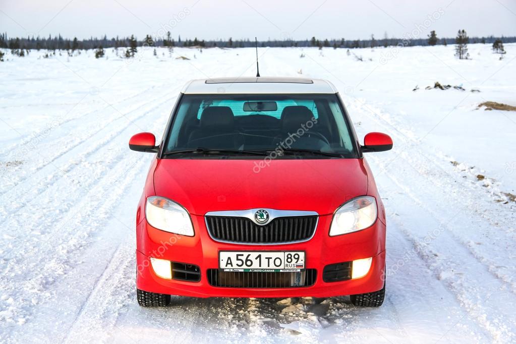 skoda fabia kartinki