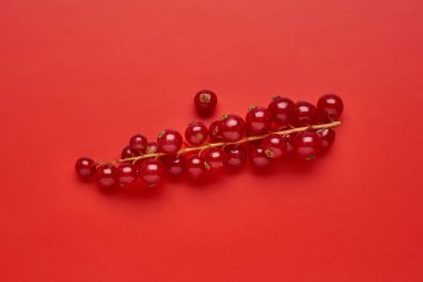 Renkli arka planda kırmızı frenk üzümünden yapılmış yaratıcı bir düzen. Düz yatıyordu. Yiyecek konsepti.