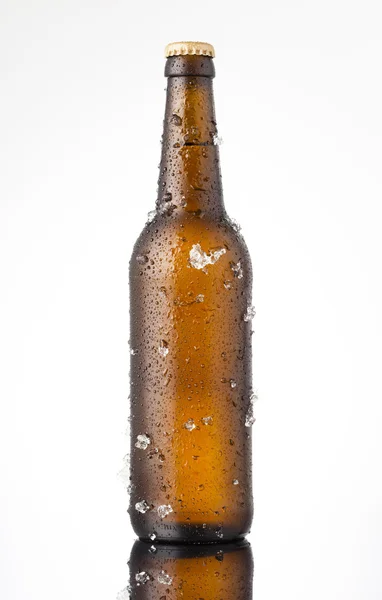 Cerveza — Foto de Stock