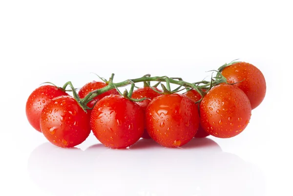 Pomodori rossi — Foto Stock