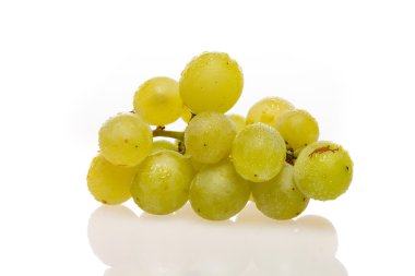 taze üzüm küme üzerinde beyaz su damlaları ile