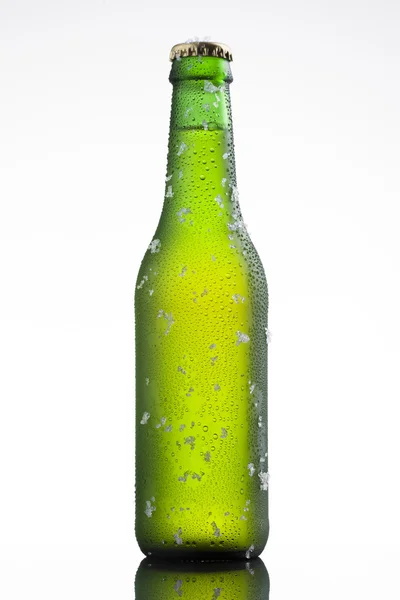 Пляшка пива на білому — стокове фото