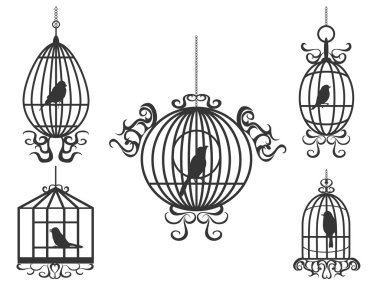 kuşlar ve birdcages