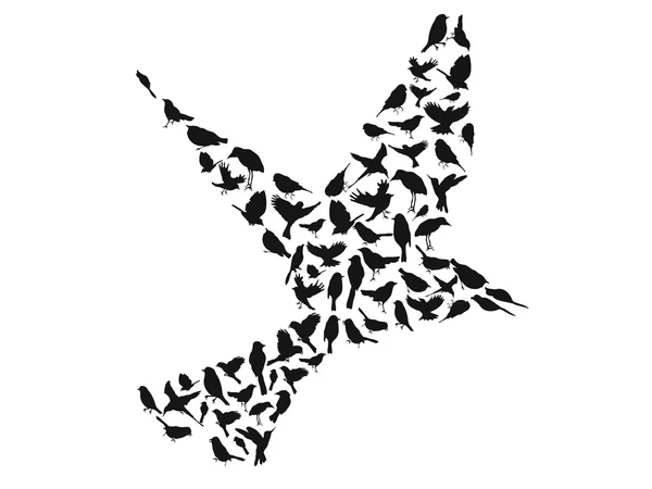 Vögel Silhouetten Gruppe — Stockvektor