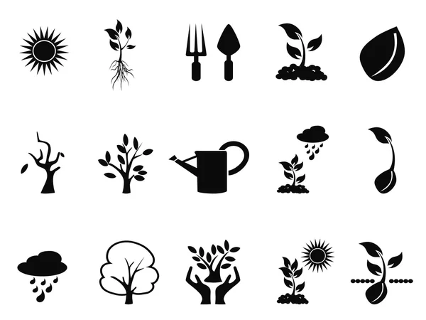 Germinación de árboles iconos de crecimiento — Archivo Imágenes Vectoriales