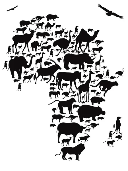 Animals of africa  illustration — Stock Vector
