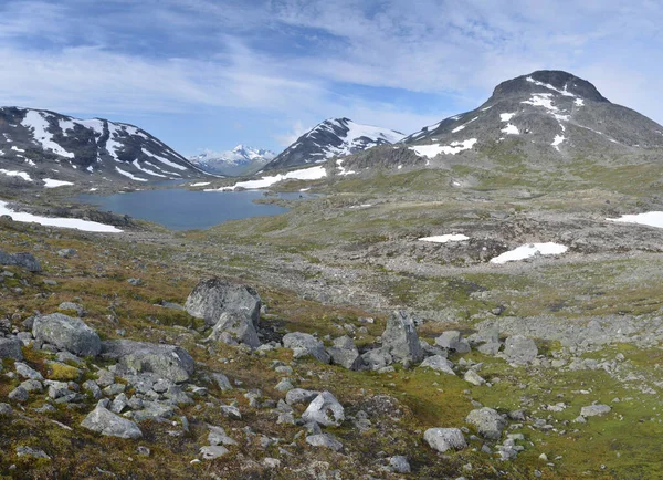 Letni Krajobraz Typową Tundrą Jeziorami Śnieżnymi Górami Parku Narodowego Jotunheimen — Zdjęcie stockowe