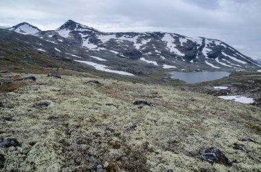 Jotunheimen Ulusal Parkı, Norveç, İskandinavya 'daki dağların ve tundraların yaz manzarası