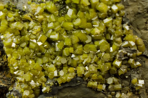 Bright green pyromorphite mineral crystals — Stock Photo, Image