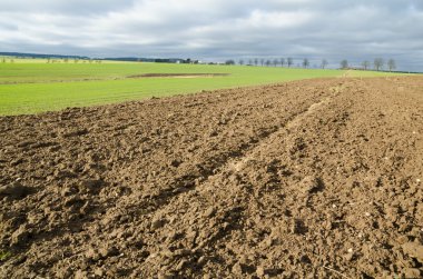 Tarım alanları ile bahar
