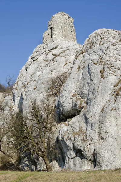 Harabe Ortaçağ Divci hrad Kalesi, Çek Cumhuriyeti — Stok fotoğraf