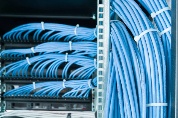 Bunch Patch Network Cables Sorted Rack Cabinet Leading Patch Panel — Stock Photo, Image