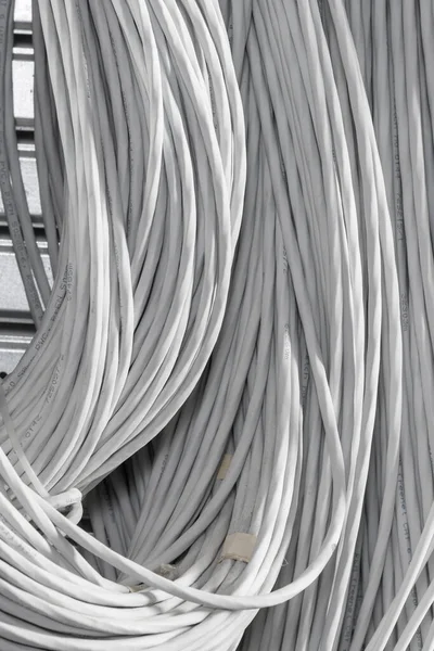 Detail Large Number Ethernet Cables Tied Together Connecting Racks Server — Stock Photo, Image