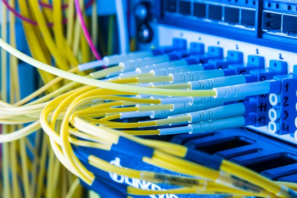 Cables Fibra Óptica Enchufados Panel Del Interruptor Red Dentro Del — Foto de Stock