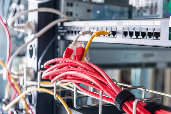 Cables Conexión Rojos Conectados Los Puertos Ethernet Del Interruptor — Foto de Stock