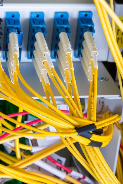 データセンター内のネットワークスイッチパネルに接続された光ファイバーケーブル — ストック写真
