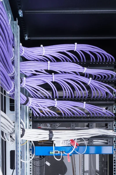 Bündel Von Patch Netzwerkkabeln Sortiert Rack Schrank Die Vom Patch — Stockfoto
