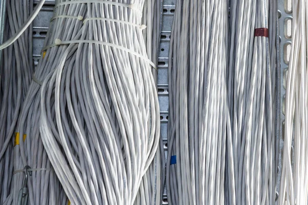 Dettaglio Gran Numero Cavi Ethernet Collegati Tra Loro Collegando Rack — Foto Stock