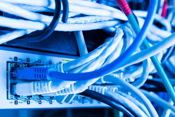 Olika Ethernet Kablar Inkopplade Nätverksbrytare — Stockfoto