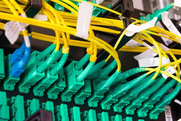 Fiber Optiska Kablar Anslutna Till Optisk Portar Data Switch Internet — Stockfoto