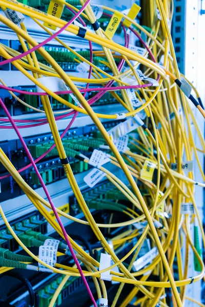 Primer Plano Los Cables Fibra Óptica Conectados Concentrador Del Servidor — Foto de Stock