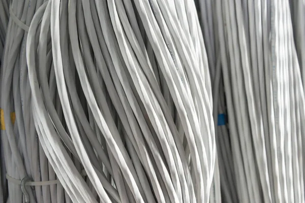 Detail Large Number Ethernet Cables Tied Together Connecting Racks Server — Stock Photo, Image