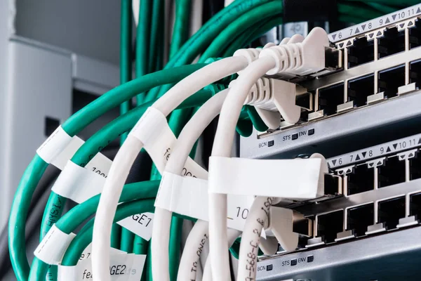Yüksek Hızlı Internet Konseptine Bağlı Renkli Yama Kabloları — Stok fotoğraf