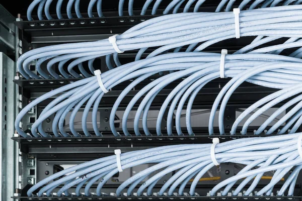 Bündel Von Patch Netzwerkkabeln Sortiert Rack Schrank Die Vom Patch — Stockfoto