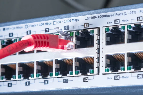 Kabel Ethernet Merah Ditancapkan Switch Internet — Stok Foto