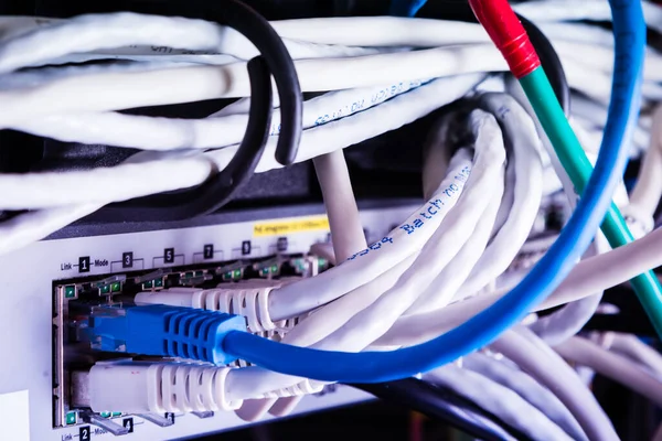 Διάφορα Καλώδια Ethernet Συνδεδεμένα Διακόπτη Δικτύου — Φωτογραφία Αρχείου