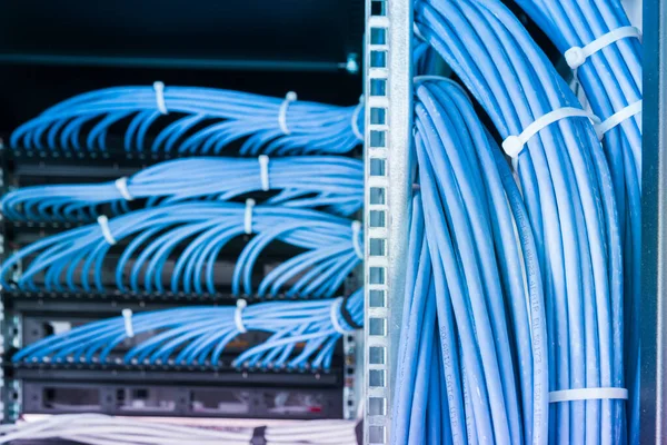 Manojo Cables Red Conexión Ordenados Gabinete Rack Que Conduce Desde — Foto de Stock