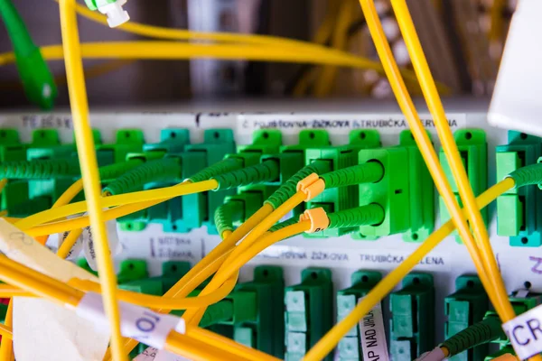 Glasfaserkabel Netzwerk Switch Panel Rechenzentrum Eingesteckt — Stockfoto