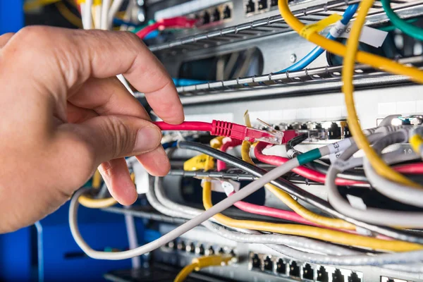 Primer Plano Mano Del Administrador Que Conecta Cable Red Interruptor —  Fotos de Stock