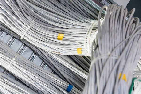 Подробности Большого Количества Кабелей Ethernet Связанных Между Собой Соединительными Стойками — стоковое фото