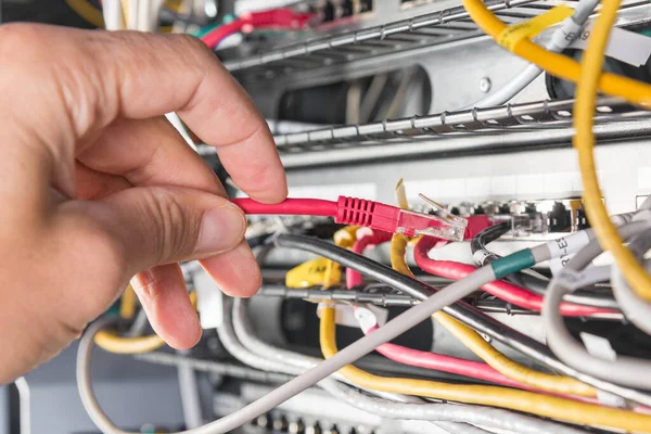 Primer Plano Mano Del Administrador Que Conecta Cable Red Interruptor — Foto de Stock