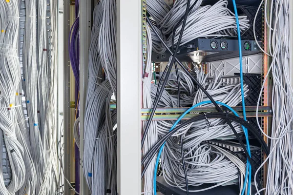 Detail Van Een Groot Aantal Ethernetkabels Die Serverruimte Met Elkaar — Stockfoto