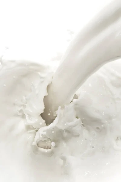 Spetterende Melk Witte Achtergrond — Stockfoto