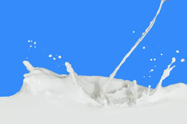 Splashing Milk Isolated Blue Background — Stock Photo, Image