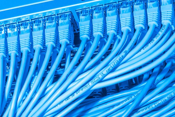 Network Cables Connected Switch Closeup Data Center Hardware — Stock Photo, Image