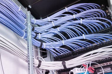 bunch of patch network cables sorted in rack cabinet, leading from patch panel in the server rack in the data center room clipart