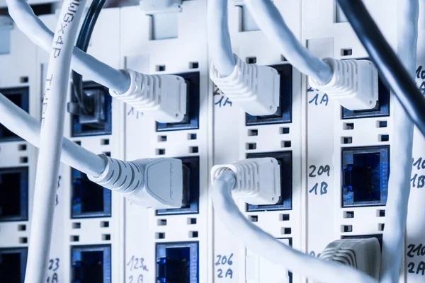 White Patch Cables Connected Data Switch — Stock Photo, Image