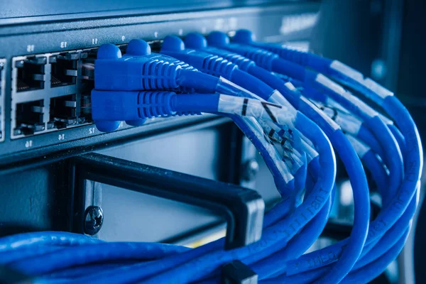 Cavi Patch Blu Collegati Alle Porte Ethernet Dell Interruttore — Foto Stock