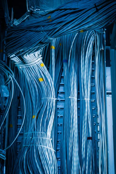 服务器室内连接架连接的大量以太网电缆的详细信息 — 图库照片