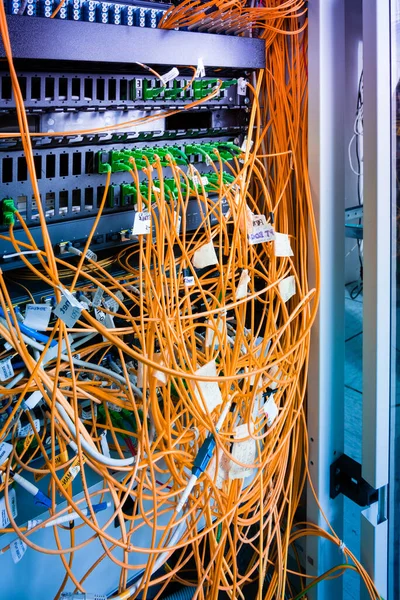 数据中心内插在网络交换机面板中的光纤电缆 — 图库照片