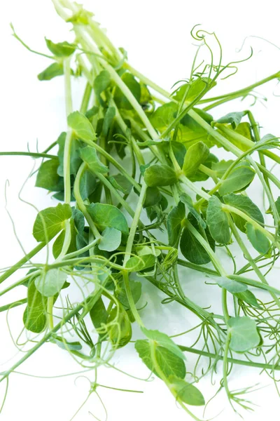 Erbsensprosse Mit Flach Liegenden Ranken Isoliert Auf Weiß — Stockfoto