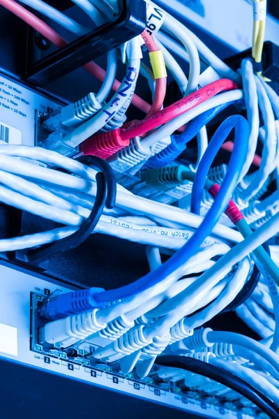 Verschillende Ethernetkabels Aangesloten Netwerkschakelaar — Stockfoto