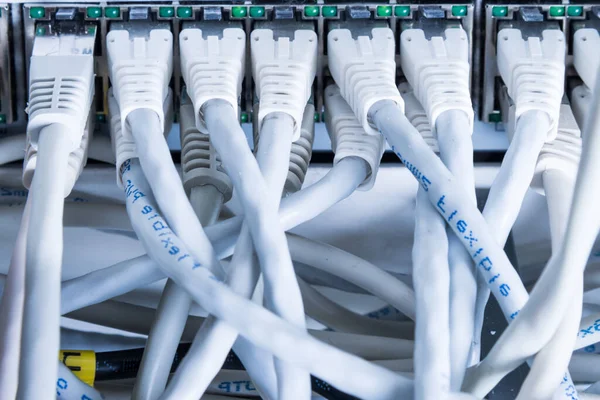 Cables Conexión Blancos Conectados Interruptor Datos —  Fotos de Stock